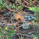 現在の画像に代替テキストがありません。ファイル名: IMG_0048.jpg