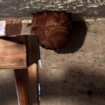 現在の画像に代替テキストがありません。ファイル名: IMG_0145-1-rotated.jpg