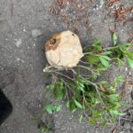 現在の画像に代替テキストがありません。ファイル名: IMG_0176-rotated.jpg