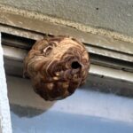 現在の画像に代替テキストがありません。ファイル名: IMG_0204-rotated.jpg