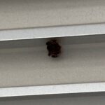 現在の画像に代替テキストがありません。ファイル名: IMG_0216-rotated.jpg