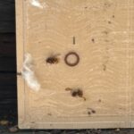 現在の画像に代替テキストがありません。ファイル名: IMG_0222-rotated.jpg
