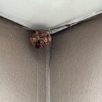 現在の画像に代替テキストがありません。ファイル名: IMG_0224-rotated.jpg