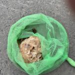 現在の画像に代替テキストがありません。ファイル名: IMG_4288-2-1-rotated.jpg