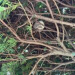 現在の画像に代替テキストがありません。ファイル名: IMG_0300-rotated.jpg