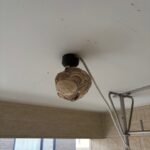 現在の画像に代替テキストがありません。ファイル名: IMG_0313-rotated.jpg