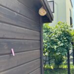 現在の画像に代替テキストがありません。ファイル名: IMG_0385-rotated.jpg