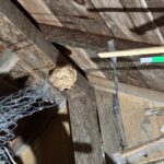 現在の画像に代替テキストがありません。ファイル名: IMG_0397-rotated.jpg