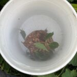 現在の画像に代替テキストがありません。ファイル名: IMG_0411.jpg