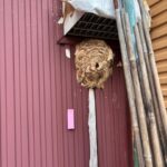 現在の画像に代替テキストがありません。ファイル名: IMG_0475-rotated.jpg