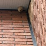現在の画像に代替テキストがありません。ファイル名: IMG_7993-rotated.jpeg
