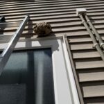現在の画像に代替テキストがありません。ファイル名: IMG_8202-rotated.jpeg